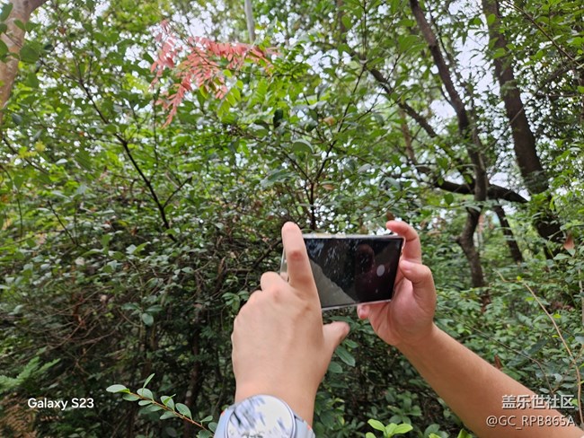 【活动回顾】人生是旷野