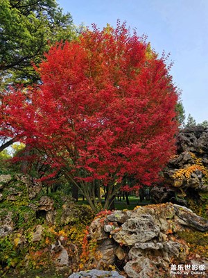 【城市生命力】秋日私语