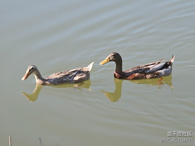 【全镜影像】户外风光