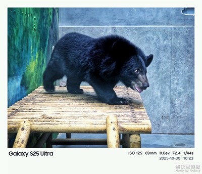 【城市生命力】生机勃勃