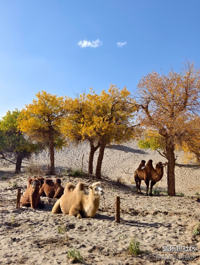 【国庆旅途】旅途记忆,在多元风景里镌刻 【国庆旅途】旅途记忆,在多元风景里镌刻