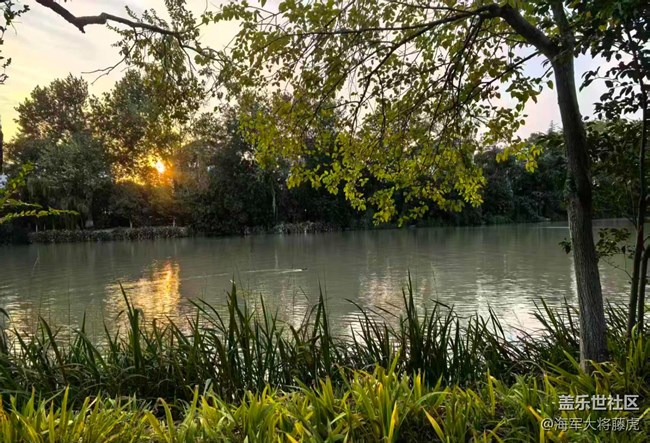 【世间的美好】世间美好,在湖畔黄昏处盛放 【世间的美好】世间美好,在湖畔黄昏处盛放