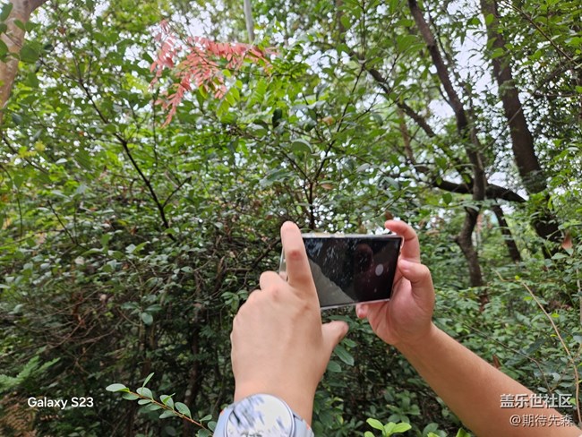 【活动回顾】徒步两万八千步