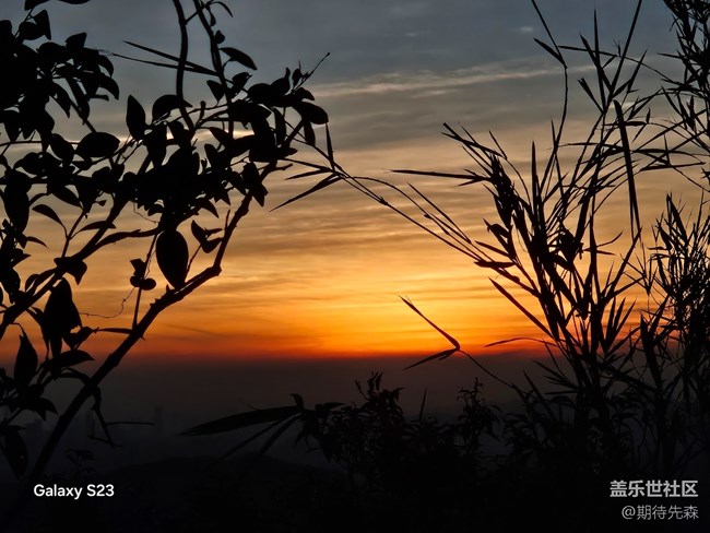 【活动回顾】徒步两万八千步