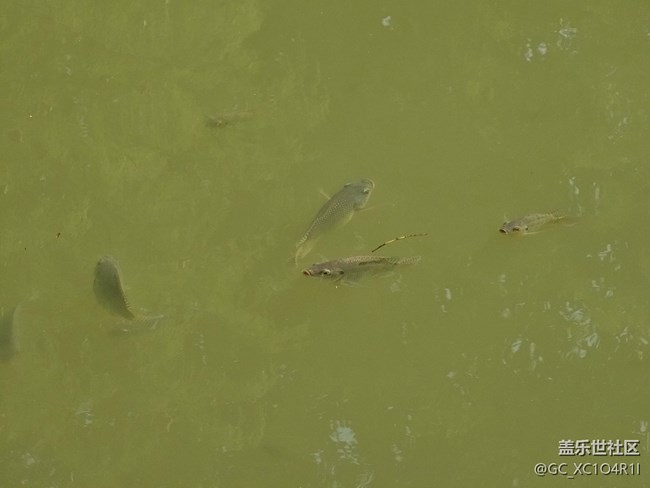 【全镜影像】户外风光