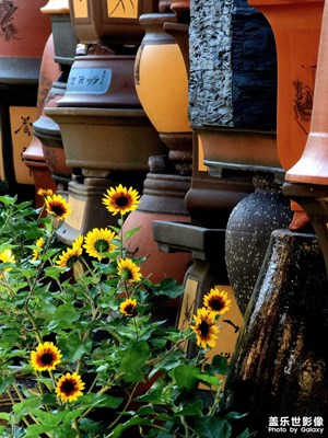 【城市生命力】斑澜万象绘生活