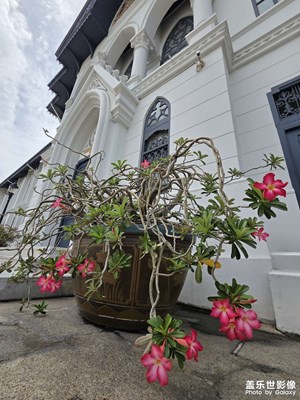 【城市生命力】曼谷巷间