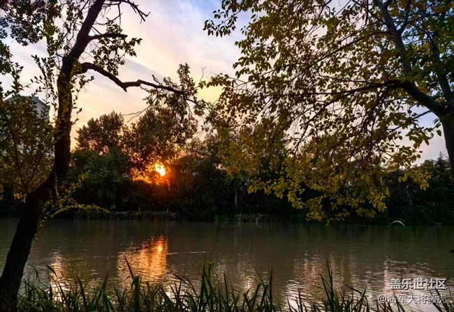 【世间的美好】世间美好,在湖畔黄昏处盛放 【世间的美好】世间美好,在湖畔黄昏处盛放