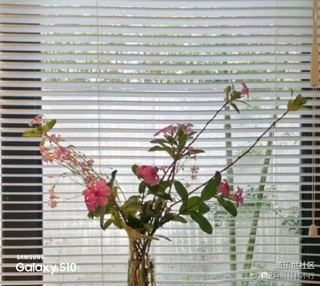 【鹏城寻冬记】好心情