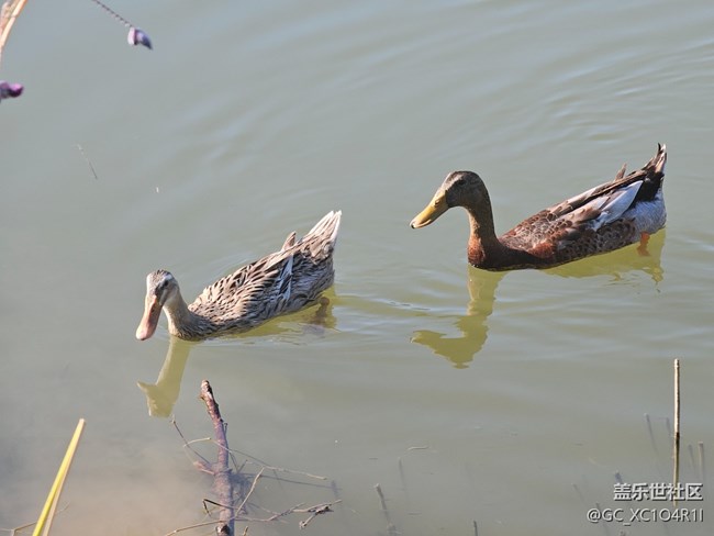 【全镜影像】户外风光