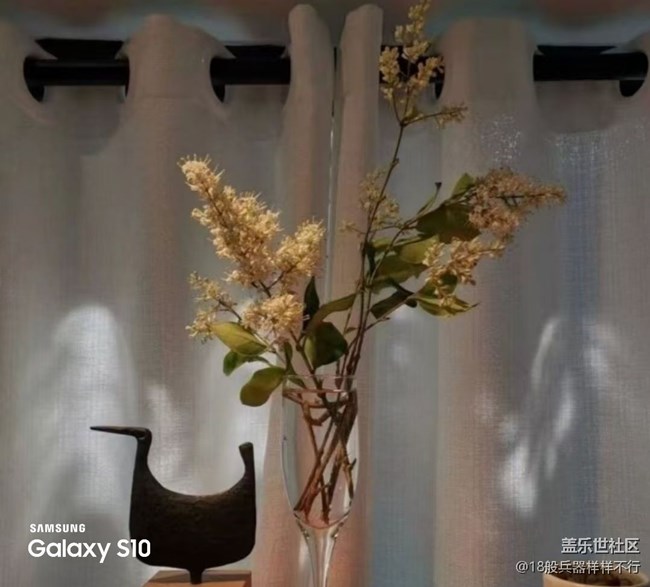 【鹏城寻冬记】好心情