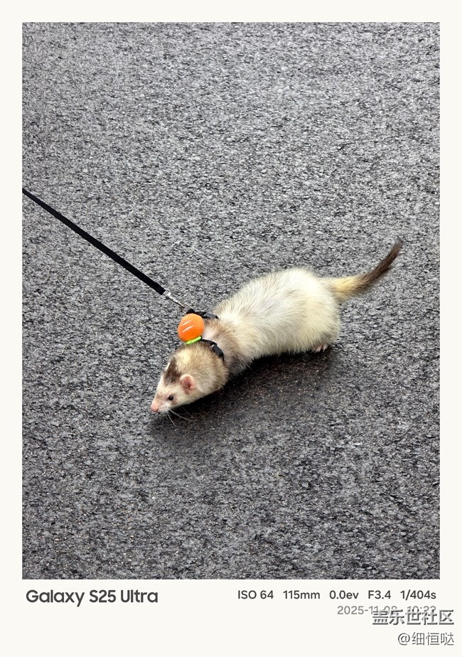 【折叠未来】青岛星部落11月折叠屏品鉴活动回顾 【折叠未来】青岛星部落11月折叠屏品鉴活动回顾