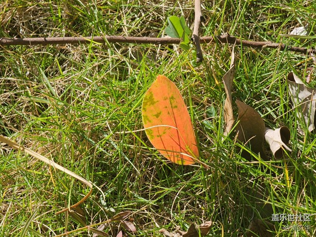 【东北的那一抹红】秋高气爽