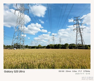 Galaxy S25 Ultra镜头下的秋日稻田