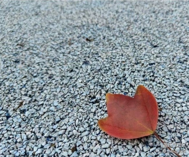 【全镜影像】处处是风景