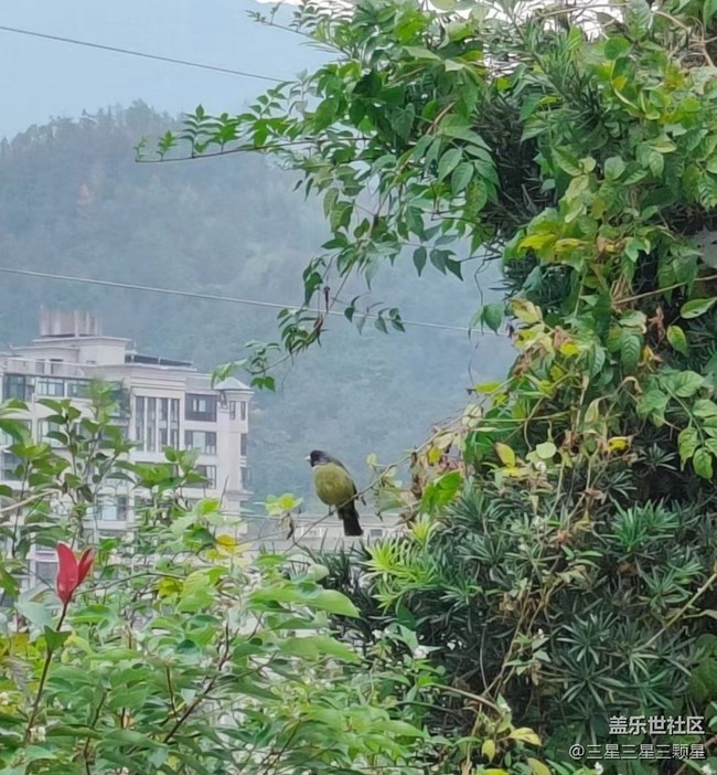 【全镜影像】处处是风景