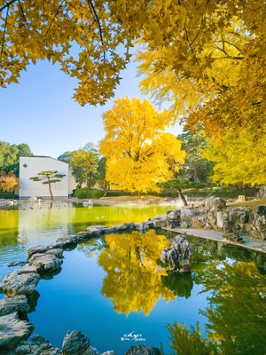 Galaxy S23 Ultra   走进秋天（一）