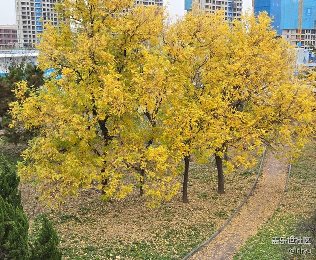 【全镜影像】望深秋