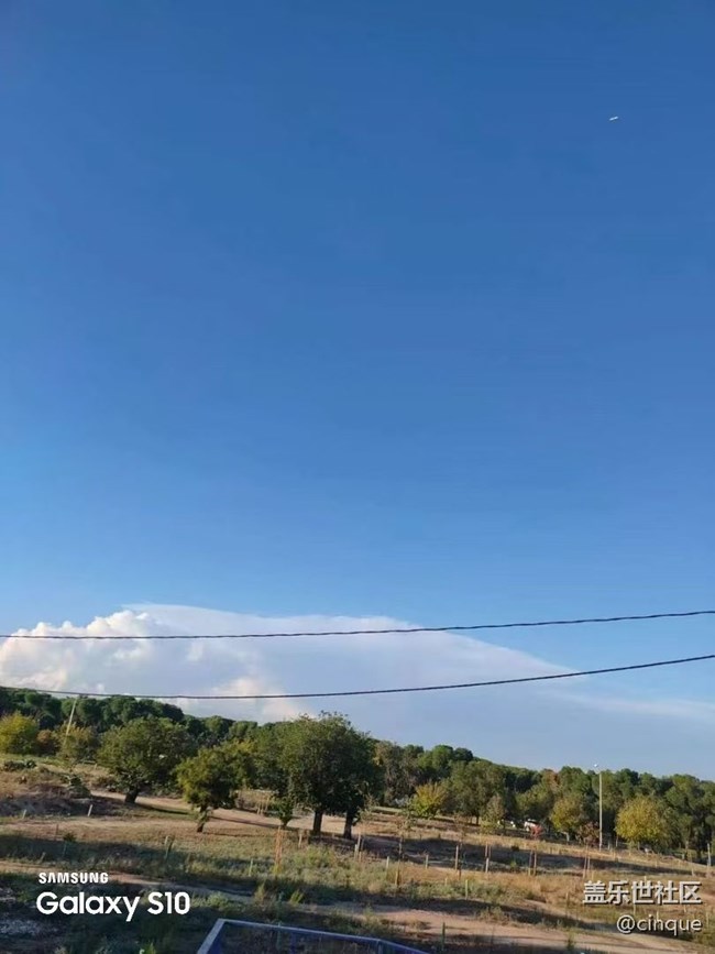 【鹏城寻冬记】森林