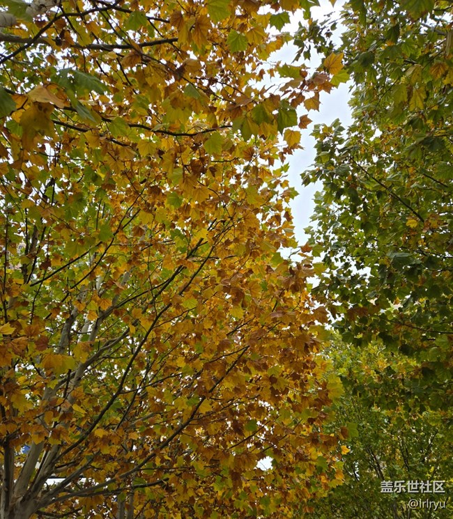 【全镜影像】望深秋