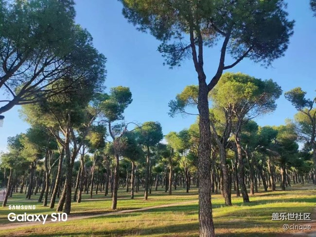 【鹏城寻冬记】森林