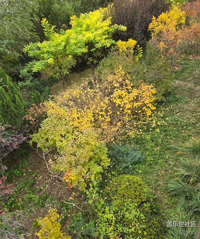 【全镜影像】望深秋