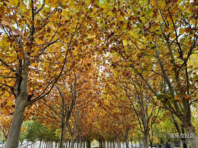 【全镜影像】望深秋