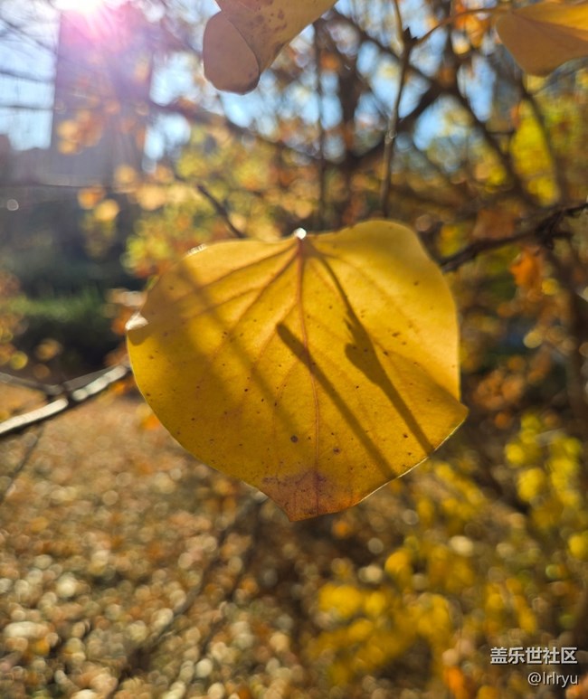 【寻找生活中的温暖】阳光暖寒秋