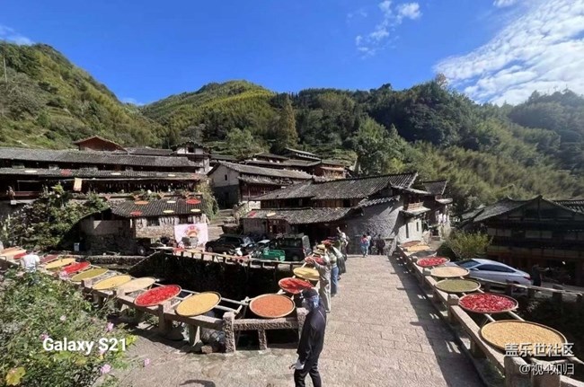 【鹏城寻冬记】晒秋