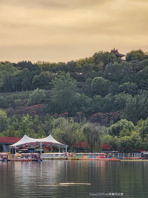 GalaxyS22Ultra 秋光里（二）