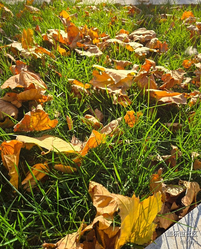 【寻找生活中的温暖】阳光暖寒秋