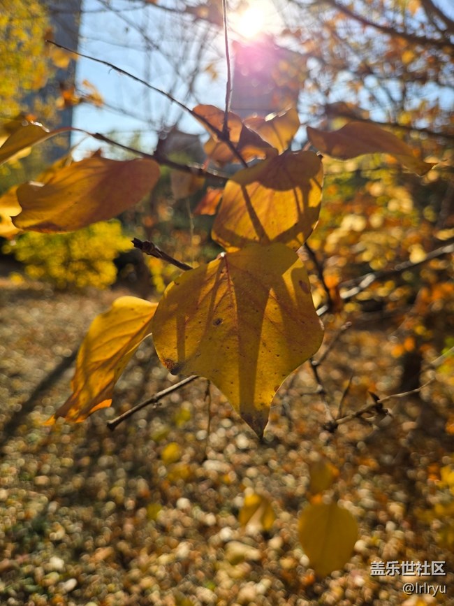 【寻找生活中的温暖】阳光暖寒秋