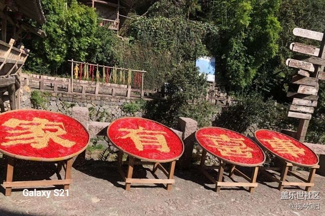 【鹏城寻冬记】晒秋