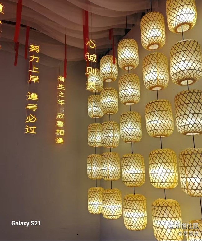 【鹏城寻冬记】红枫