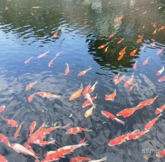 【全镜影像】好景好心情