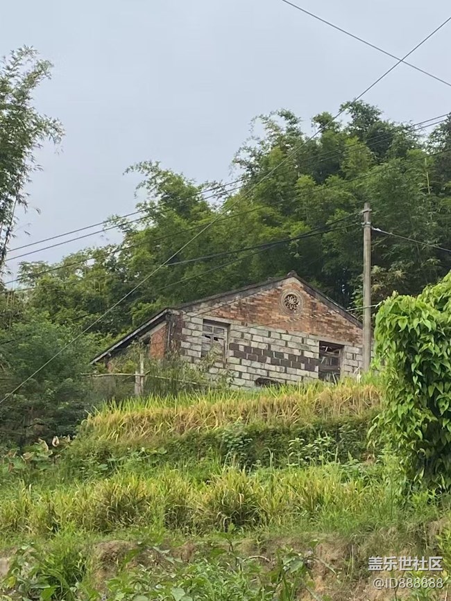 【全镜影像】周末回老家