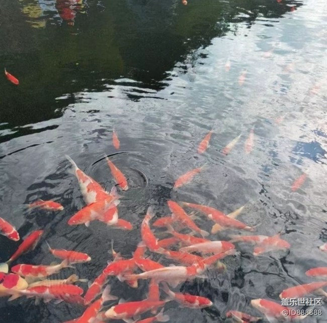 【全镜影像】好景好心情