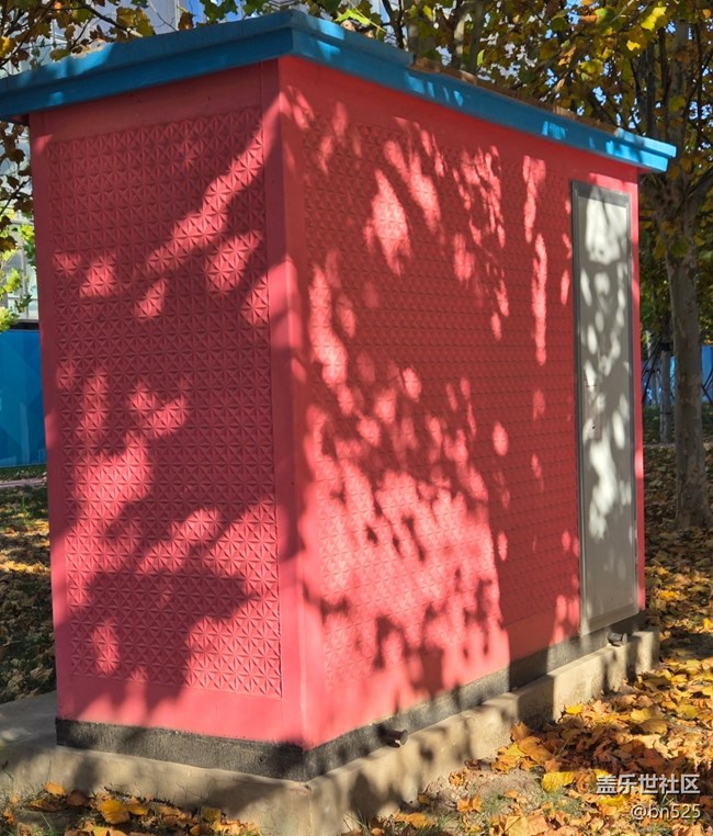 【光影里的故事】树影知秋