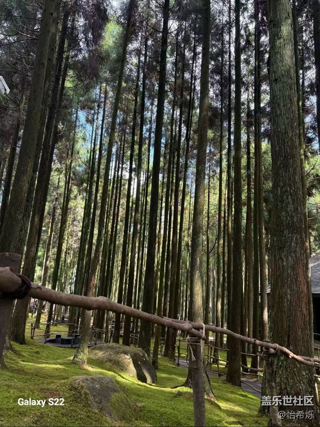 【鹏城寻冬记】爬山记