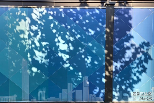 【光影里的故事】树影知秋