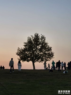 【地标最佳机位】＋仙林体育场