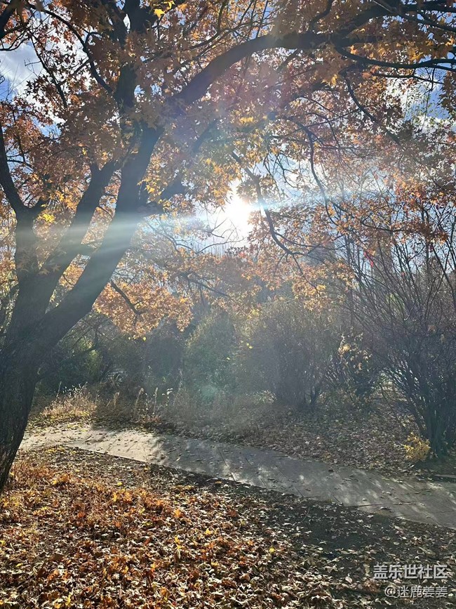 【秋季采风计划】太喜欢这样的秋天了