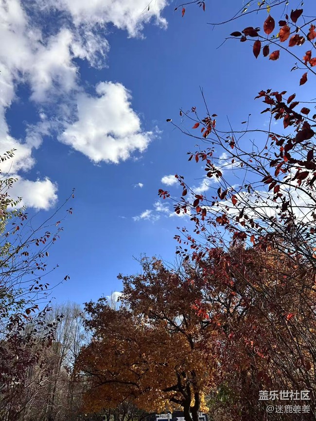 【秋季采风计划】太喜欢这样的秋天了
