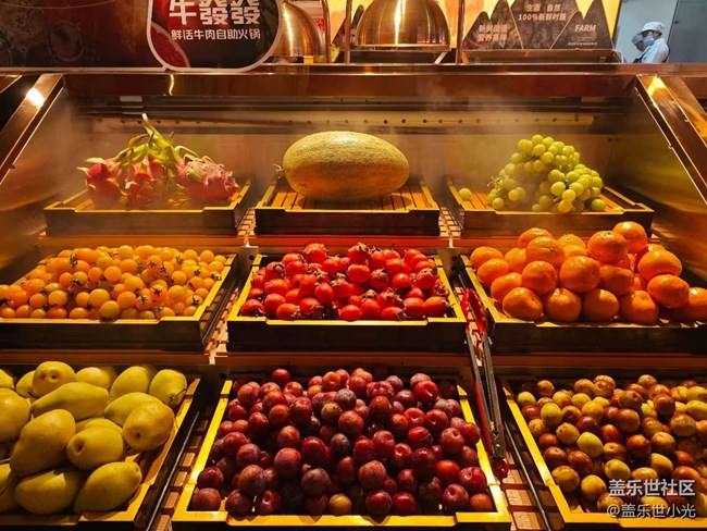 Galaxy Z Fold 7/Flip 7线下实机品鉴活动回顾