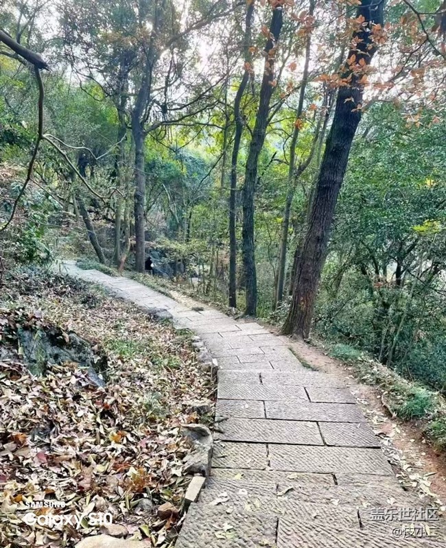 【鹏城寻冬记】爬山锻炼