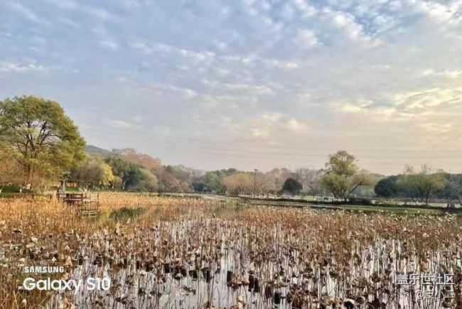 【鹏城寻冬记】爬山锻炼