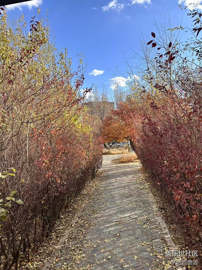 【秋季采风计划】太喜欢这样的秋天了