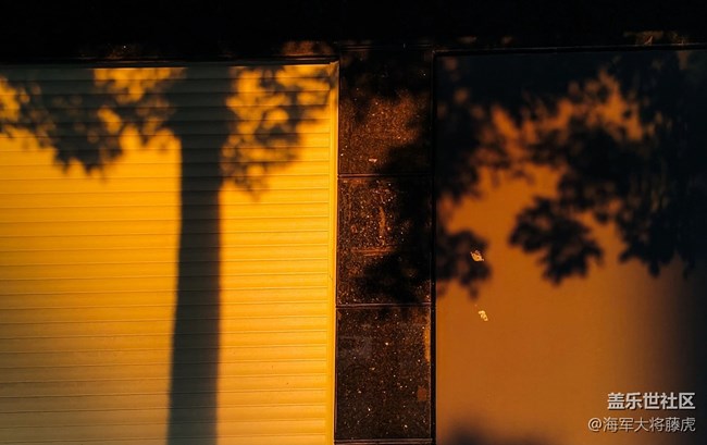 【世间的美好】世间美好,在光影里悄然绽放 【世间的美好】世间美好,在光影里悄然绽放