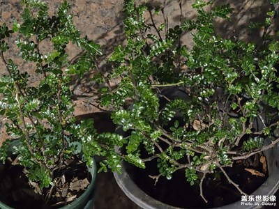 【地标最佳机位】每一天