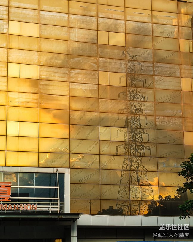 【世间的美好】世间美好,在光影里悄然绽放 【世间的美好】世间美好,在光影里悄然绽放